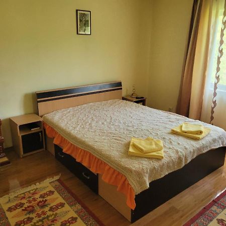 Casa Damian Βίλα Bertea Εξωτερικό φωτογραφία
