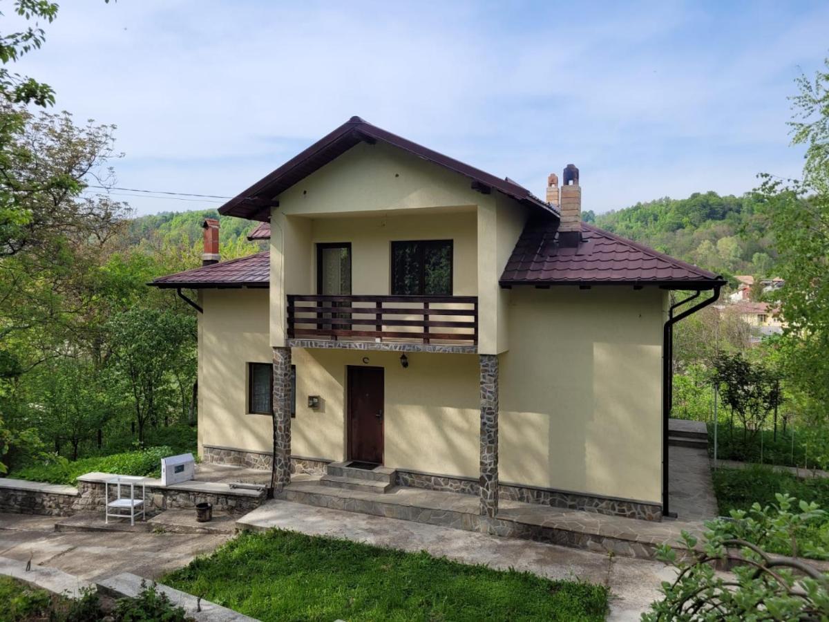 Casa Damian Βίλα Bertea Εξωτερικό φωτογραφία