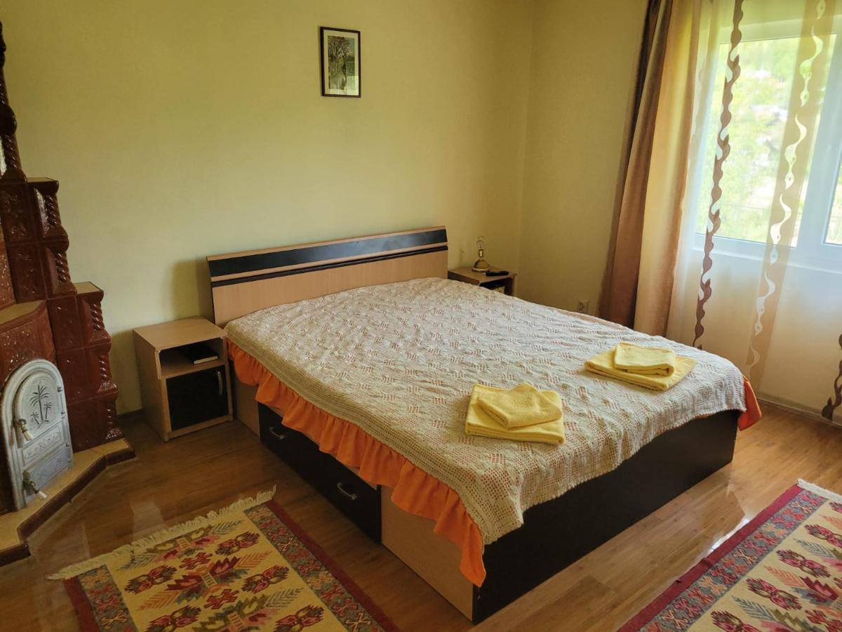 Casa Damian Βίλα Bertea Εξωτερικό φωτογραφία