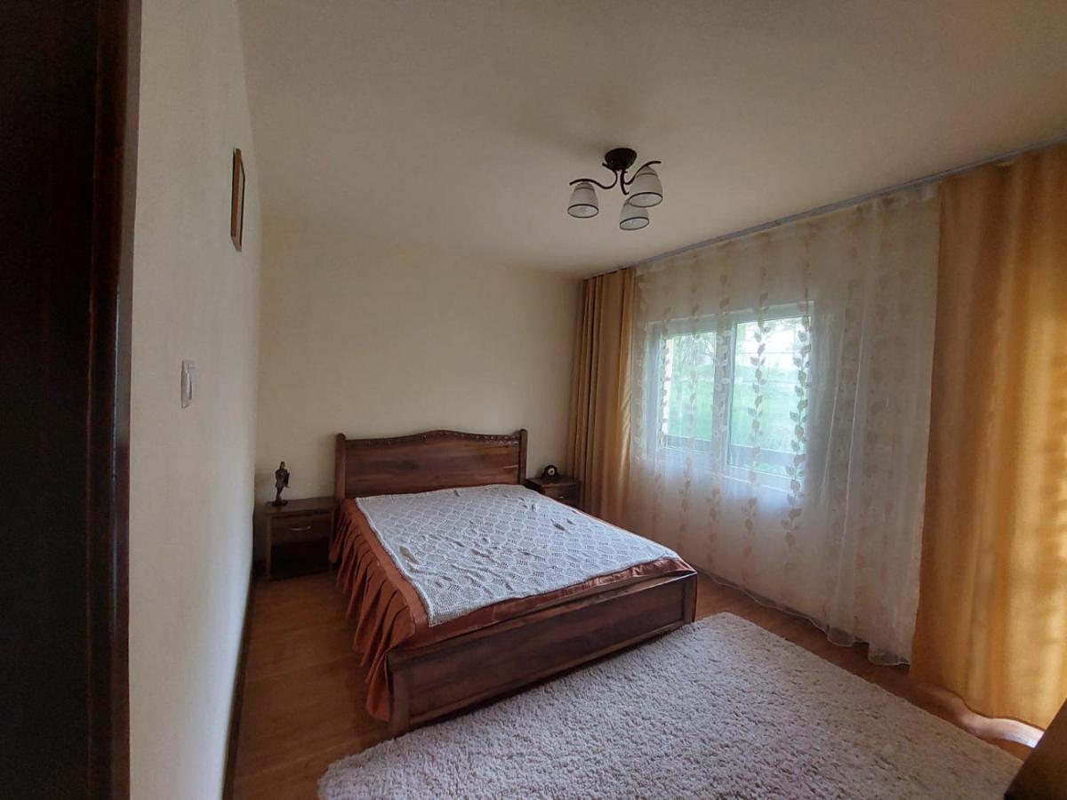 Casa Damian Βίλα Bertea Εξωτερικό φωτογραφία